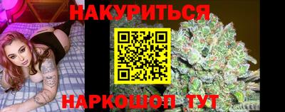 сатива Пенза