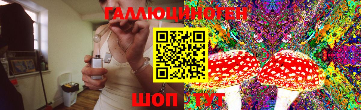 Псилоцибиновые грибы GOLDEN TEACHER Ступино