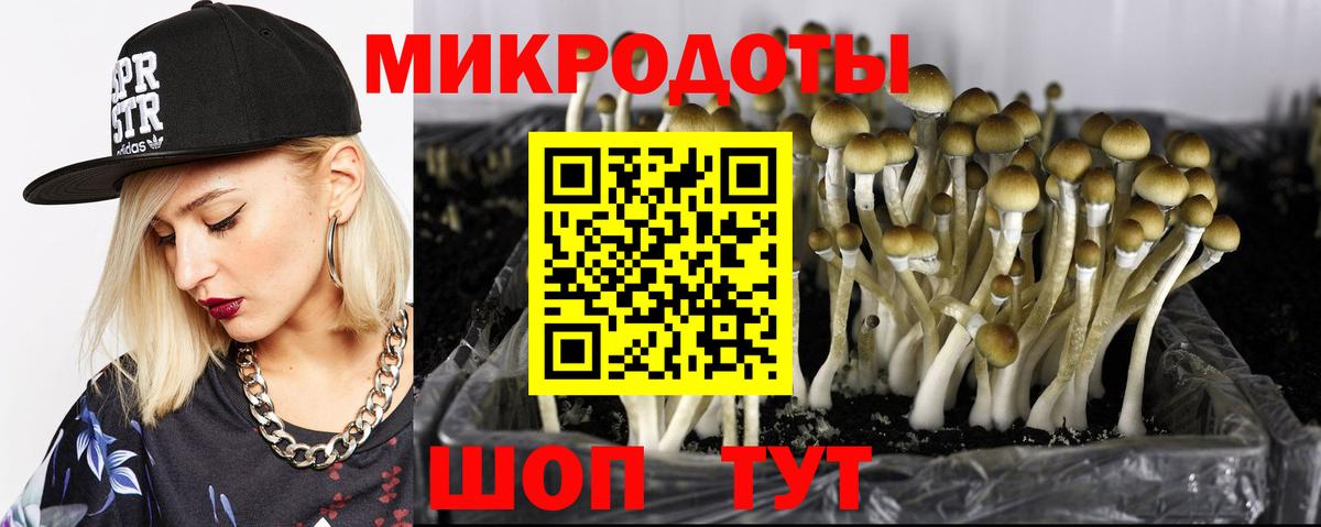 где купить наркоту  Вход с VPN  Ступино  Галлюциногенные грибы Magic Shrooms 